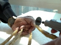 一番長い爪で2メートル近く！「世界で最も長い片手の爪」を持つ男性、66年ぶりに爪切り（長爪注意）