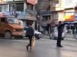 「おててつないで渡ろうね！」　手をつないで道路を渡るワンちゃんが可愛い！