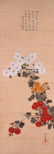酒井抱一《菊小禽図》19世紀(江戸時代)　 絹本・彩色　山種美術館