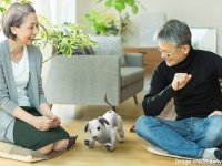 飼えなくなったロボット犬「aibo」に新たな里親を探し第二の犬生を歩んでもらうプログラムが開始に