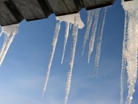 雪国では、軒下のクモの巣も凍るらしい　衝撃光景に1.6万人驚がく「実際に見ると驚異」「初めて見た」