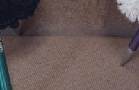 編み物好き主婦が作った〝斬新精霊馬〟に反響　「乗り心地重視ね」「素敵だw」