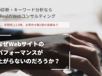 NetReal株式会社のプレスリリース画像