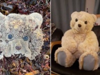 ボロボロのテディベアのことをSNSで知った女性完全修復！第二のクマ生が与えられる