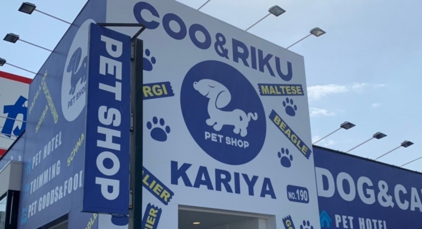 有限会社 Coo&amp;RIKUのプレスリリース画像