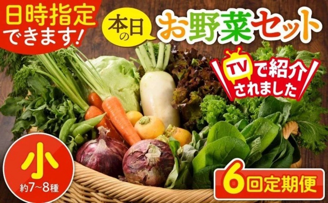 宮崎県 綾町「【6回定期便】日時指定OK!本日のお野菜セット 〈小サイズ/約7-8種〉」36000円(ふるさとチョイスより)