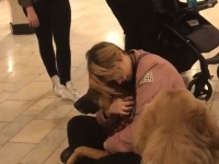 子供に介助犬を撫でさせたかった母親。それを断られてブチ切れ、口喧嘩がエスカレート（アメリカ）