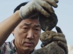 ついに◯◯◯まで！　あらゆるものを積み上げるバランスアーティストの新動画