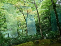 アラサー女子、感動。夏のひんやり京都旅で仏像＆アート鑑賞したら最高だった話