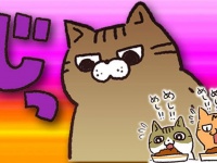「いぶかればいぶかろう」第17回：朝ごはんの為の3匹の猫たちの目覚ましミッション
