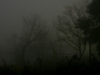 Alexさん撮影、Flickrより