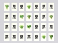 難しすぎて草生えるｗｗｗ　野菜カードで挑む神経衰弱ゲーム「マジで草。」の攻略法は？作者に聞く