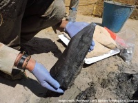 47万6000年前、現生人類の祖先が木製建造物を作っていた証拠が発掘される（世界最古）