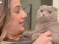 愛猫に向かって「あなたが好きなの子はだぁれ？」と他の猫たちの名前を呼んでみた。それぞれ違う反応を見せた