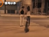 横断歩道の前に2人の女性と1匹の犬がいた。驚きの展開はこの後すぐ！