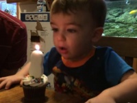 【動画】2歳の男の子がバースデーケーキの火をうまく吹き消すためのたった一つの方法