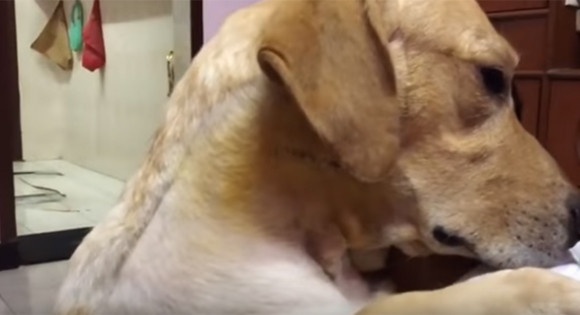 スクリーンショット-(4997)