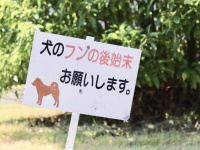 注意したものの...（画像はイメージ）