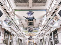 ユーウツな通勤電車がパラダイスに...！（画像はプレスリリースより）