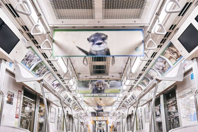 ユーウツな通勤電車がパラダイスに...！（画像はプレスリリースより）