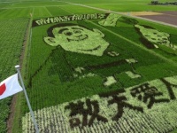 南九州市の田んぼアート（画像提供：農事組合法人「たべた」実行委員会）