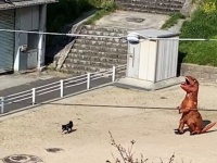 宇宙一平和な「ジュラシック・パーク」だ...　恐竜さん、公園での「おさんぽ」を激写される