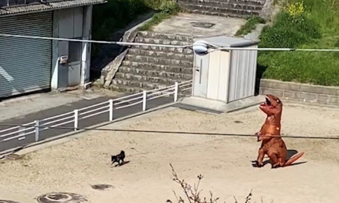 宇宙一平和な「ジュラシック・パーク」だ...　恐竜さん、公園での「おさんぽ」を激写される