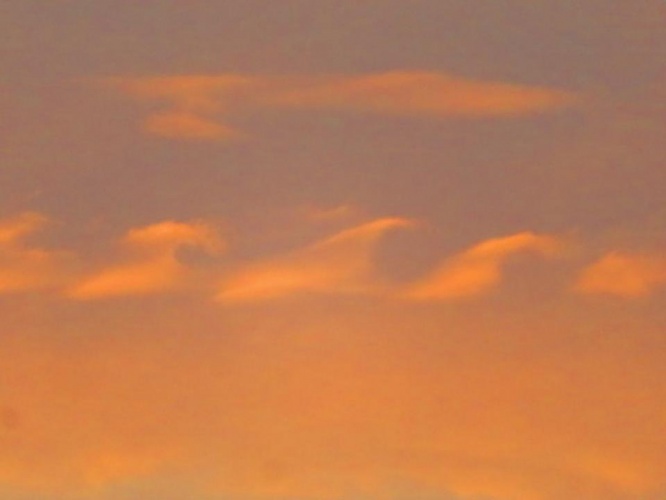 夕焼けの中のフラクタス（荒木さん＠arakencloudのツイートより）