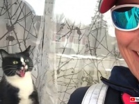 自宅警備中の猫、毎日やってくる郵便配達の女性に窓越しの「キシャーッ！」をプレゼント