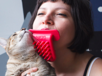 愛猫が好きすぎて舐めちゃいたい？ならばこれだ。グルーミングもできる猫舐め専用舌「リッキーブラシ」