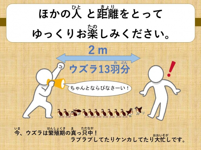 様々なパターンが(画像は広島市安佐動物公園提供)