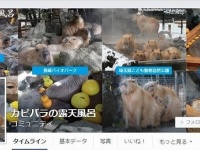 カピバラの露天風呂Facebookのトップページ