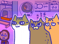 アレな生態系日常漫画「いぶかればいぶかろう」第30回：猫のトイレ事情（トイレの置き場所編）