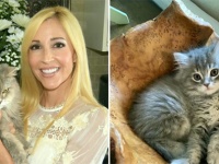 最愛の猫を失った飼い主、高額を支払いクローン猫を蘇らせる。性格も寝る場所も一緒だったと大喜び（アメリカ）
