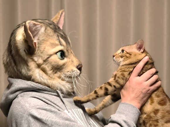 cat2_e
