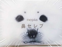 トレンダーズ株式会社のプレスリリース画像