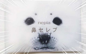 トレンダーズ株式会社のプレスリリース画像