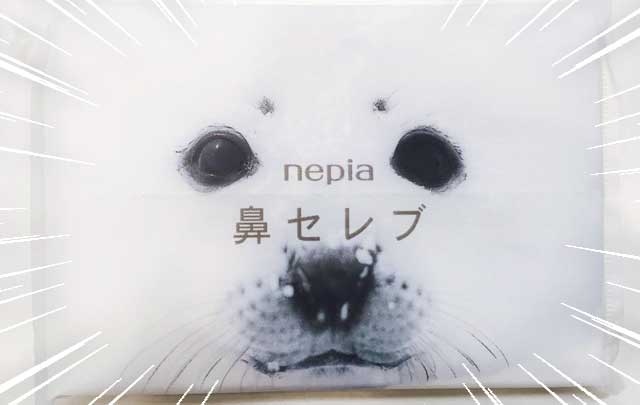 トレンダーズ株式会社のプレスリリース画像