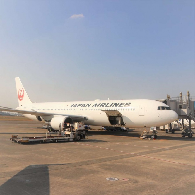 写真は編集部撮影、以下同