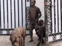 犬と人の銅像？と思ったら動いてた。どうしてこうなった案件