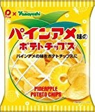 山芳製菓 ポテトチップス パインアメ味のポテトチップス 48g×12袋