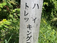 「ウォーもまぜたい」「ノースモーも足したい」　佐渡で発見された超合理的な「キングコース」に反響