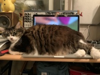 深澤秀行（eicheph）さんのツイートより