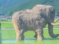 田んぼの中に〝マンモス一家〟出現　3.3万人驚がくの車窓風景に「間違いなく二度見」「生きてたんだまだ」