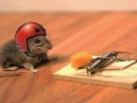 今この瞬間は一度しかない。幸せになるためにあきらめない25のこと。