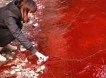 もはや手遅れなのか…中国の汚染状況のヒドさがわかる２４枚の写真