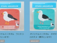 おたる水族館、敷地内に「勝手にいる」生き物をグッズ化してしまう　どういう発想？担当者に聞くと...「彼らも仲間」