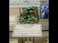 まさかのLUNA SEA（画像はすべて奇石博物館提供）