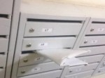 待望のレコードが届いたと思ったら…　郵便屋がやらかした！