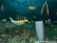 4億6200万年前の古代生物の化石群がウェールズの秘密の場所で発見される。新種も続々